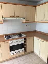 Duchess Crest (D10), Condominium #446979521